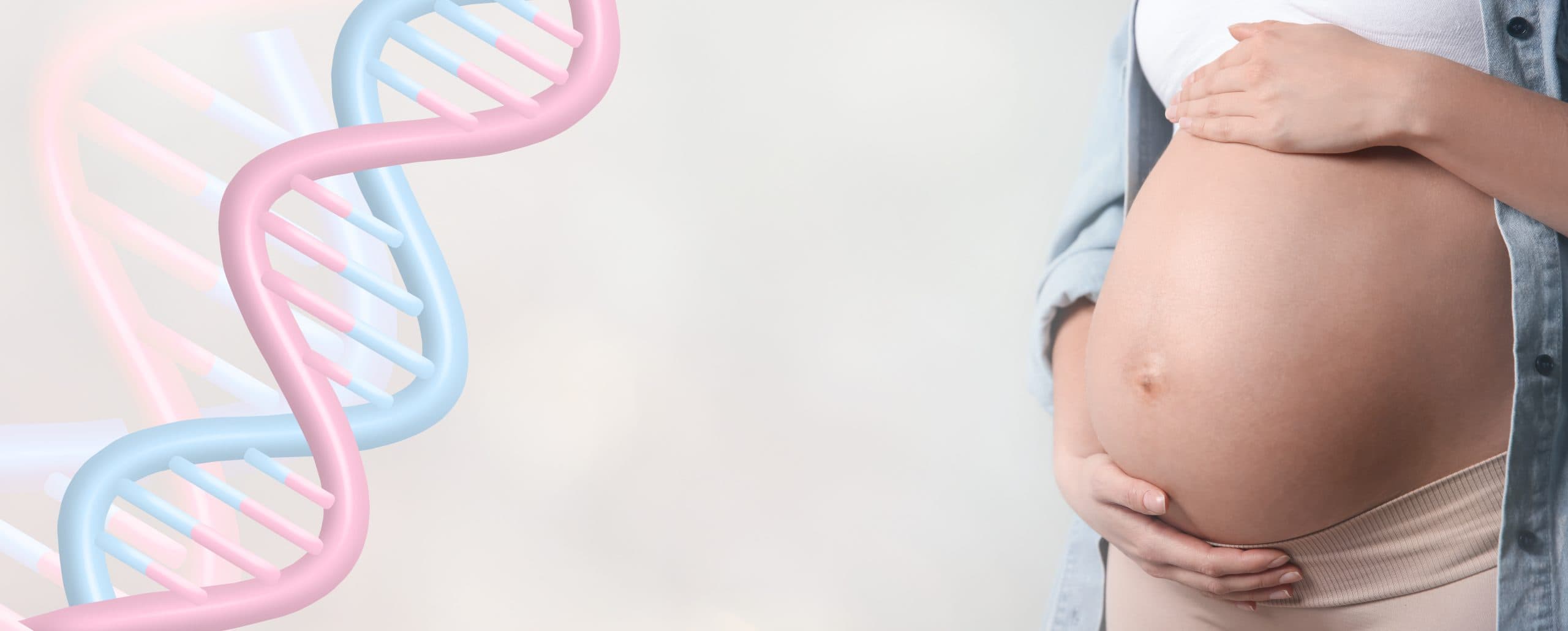 Descubre los Estudios Prenatales No Invasivos (NIPT)